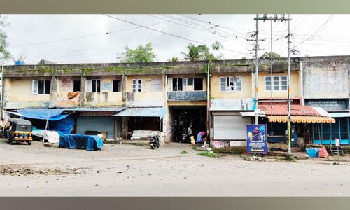മേൽക്കൂരയിൽ ആൽമരം; ഭീഷണിയായി പൊതുമാർക്കറ്റ് കെട്ടിടം മേൽക്കൂരയിൽ ആൽമരം; ഭീഷണിയായി പൊതുമാർക്കറ്റ് കെട്ടിടം