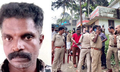 കട്ടച്ചൽകുഴിയിൽ വൻ കഞ്ചാവ് വേട്ട; ഒരാൾ അറസ്റ്റിൽ