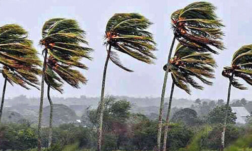 നാടുകാണി ചുരം വഴി വൃശ്ചിക കാറ്റെത്തി