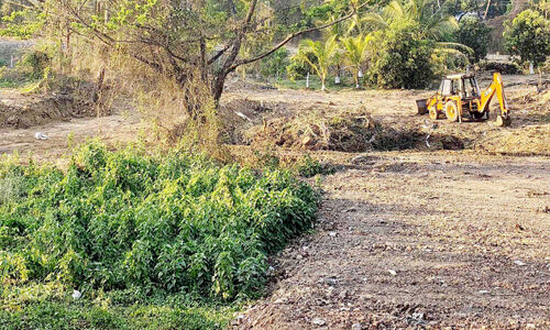 കണ്ണടച്ച് ഉദ്യോഗസ്ഥർ; രണ്ടേക്കർ കുളം നികത്തുന്നു കണ്ണടച്ച് ഉദ്യോഗസ്ഥർ; രണ്ടേക്കർ കുളം നികത്തുന്നു