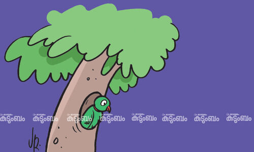 കുട്ടിക്കവിത: പൊത്ത്