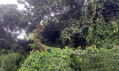 അപകടം പതിയിരിക്കുന്നു; യാത്രക്കാർ സൂക്ഷിക്കുക അപകടം പതിയിരിക്കുന്നു; യാത്രക്കാർ സൂക്ഷിക്കുക