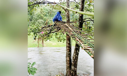 ഗതിമുട്ടിയ ജീവിതങ്ങൾ