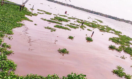 കൈതപ്പുഴ കായൽ നിറംമാറുന്നു; രാ​സ​മാ​ലി​ന്യ​മെ​ന്ന്​ സൂ​ച​ന