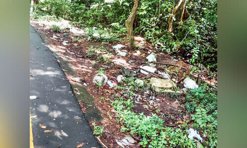 വനമേഖല പ്രകൃതിരമണീയം; ഇപ്പോൾ മാലിന്യനിക്ഷേപ കേന്ദ്രം വനമേഖല പ്രകൃതിരമണീയം; ഇപ്പോൾ മാലിന്യനിക്ഷേപ കേന്ദ്രം