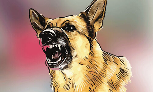 യാത്രക്കാരേ, കടി കിട്ടാതെ നോക്കണേ! യാത്രക്കാരേ, കടി കിട്ടാതെ നോക്കണേ!