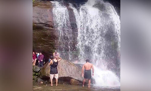 തെന്മലയിൽ കാട്ടാനകൾ വിഹരിക്കുന്നു; വെള്ളച്ചാട്ടങ്ങളിൽ നിയമം ലംഘിച്ച്സ ന്ദർശകരുടെ കുത്തൊഴുക്ക് തെന്മലയിൽ കാട്ടാനകൾ വിഹരിക്കുന്നു; വെള്ളച്ചാട്ടങ്ങളിൽ നിയമം ലംഘിച്ച്സ ന്ദർശകരുടെ കുത്തൊഴുക്ക്