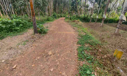 മഞ്ഞ കുറ്റികൾ സാക്ഷി; എന്തേ ഫണ്ട് തരാത്തത്? മഞ്ഞ കുറ്റികൾ സാക്ഷി; എന്തേ ഫണ്ട് തരാത്തത്?