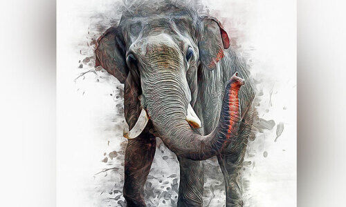 ഒറ്റയാൻ ജനവാസ കേന്ദ്രത്തിലിറങ്ങി; യുവാവ് രക്ഷപ്പെട്ടത് തലനാരിഴക്ക്