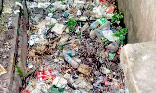 ക​ടി​യ​ങ്ങാ​ട് ടൗ​ണി​ൽ കൊ​തു​ക് ‘വ​ള​ർ​ത്തു കേ​ന്ദ്രം’