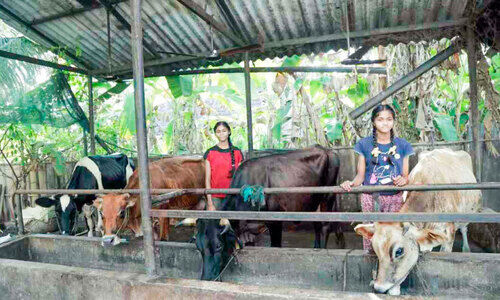 പഠനത്തോടൊപ്പം കാലിത്തൊഴുത്തില്‍ ആനന്ദം പങ്കിട്ട് അനുഗ്രഹയും ആര്‍ദ്രയും