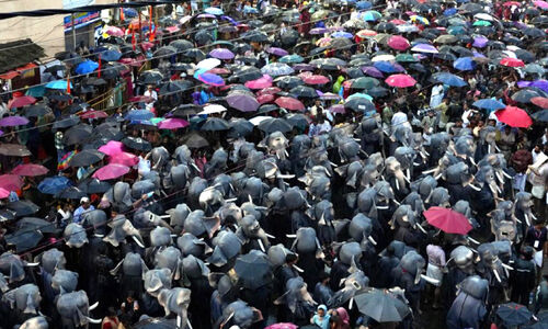 ഓണം 2k25; ആഘോഷത്തിന്‍റെ ചിന്നംവിളി