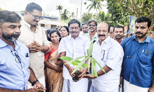 നെൽകൃഷി ഇനി ലാഭകരം; പിരപ്പമൺകാട് സമ്പൂർണ യന്ത്രവത്​കൃതകൃഷിക്ക്​ തുടക്കം