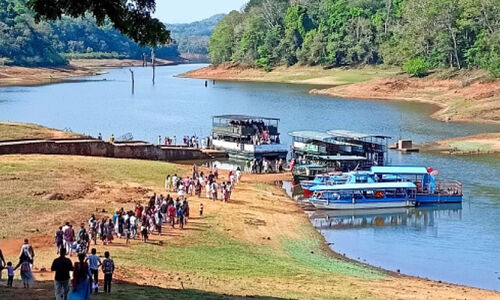തമിഴ് നാട് വെള്ളമെടുത്തു, തേക്കടിയിൽ ജലനിരപ്പ് താഴ്ന്നു; സീസണിൽ ബോട്ട് സവാ​രി പ്ര​തി​സ​ന്ധി​യി​ലേ​ക്ക്