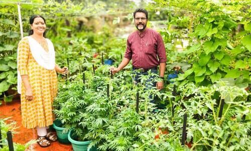 ‘ഓണത്തിനൊരു മുറം പച്ചക്കറി’; ആത്മസംതൃപ്തിയിൽ ഉപജ്ഞാതാവ് ‘ഓണത്തിനൊരു മുറം പച്ചക്കറി’; ആത്മസംതൃപ്തിയിൽ ഉപജ്ഞാതാവ്