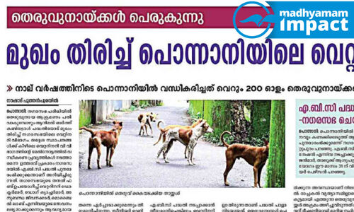 പൊന്നാനി നഗരസഭയിൽ തെരുവുനായ് ശല്യം നിയന്ത്രിക്കാൻ പദ്ധതി പൊന്നാനി നഗരസഭയിൽ തെരുവുനായ് ശല്യം നിയന്ത്രിക്കാൻ പദ്ധതി