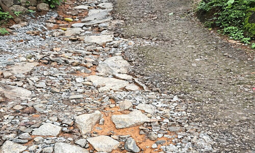 ഇത് റോഡിന്റെ ജീവനെടുക്കുന്ന മിഷൻ