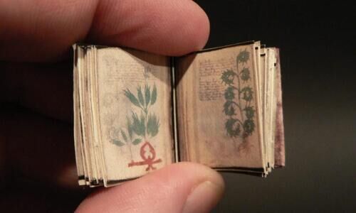 പുസ്തകങ്ങൾക്കിടയിലെ നിഗൂഢ പുസ്തകം