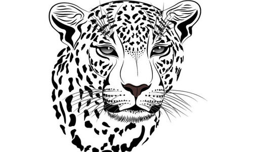 വീ​ണ്ടും പു​ലി​പ്പേ​ടി;  കാ​ട്ടു​പ​ന്നി​ക​ള്‍ ച​ത്ത​നി​ല​യി​ല്‍