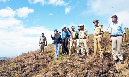 മകരവിളക്ക്​ ഇന്ന്​: ജില്ല ഭരണകൂടം പൂർണസജ്ജം