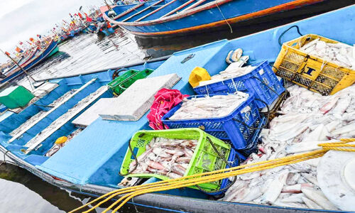 തീവ്ര ലൈറ്റുകള്‍ ഉപയോഗിച്ച്​ മത്സ്യബന്ധനം; വള്ളങ്ങൾ പിടികൂടി മത്സ്യത്തൊഴിലാളികള്‍