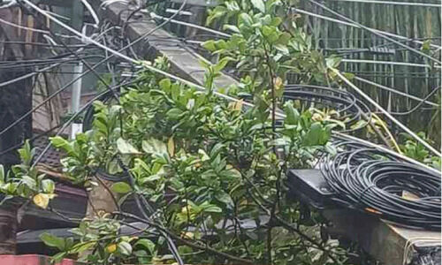 കാറ്റിലും മഴയിലും വൈദ്യുതി മേഖലയിൽ വ്യാപക നാശം