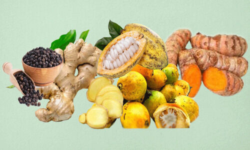 വടക്കഞ്ചേരി മലഞ്ചരക്ക് വിപണന കേന്ദ്രം വികസനക്കുതിപ്പിൽ വടക്കഞ്ചേരി മലഞ്ചരക്ക് വിപണന കേന്ദ്രം വികസനക്കുതിപ്പിൽ