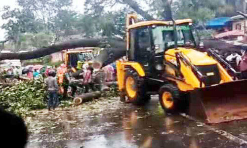 കാ​റ്റും മ​ഴ​യും; ദേ​ശീ​യ​പാ​ത​യി​ൽ ര​ണ്ടി​ട​ങ്ങ​ളി​ൽ മ​രം വീ​ണു