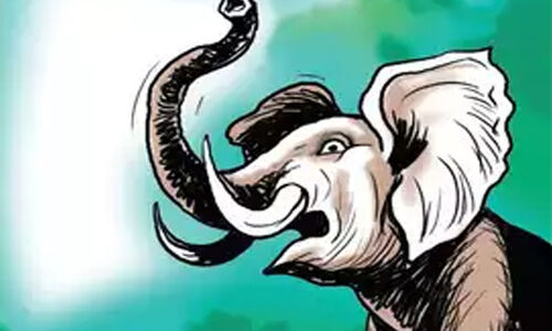 ജ​ന​വാ​സ കേ​ന്ദ്ര​ങ്ങ​ളി​ൽ വ്യാ​പ​ക കൃ​ഷിനാ​ശം; കാ​ട്ടാ​ന​യെ ക​ണ്ടെ​ത്താ​നാ​യി​ല്ല