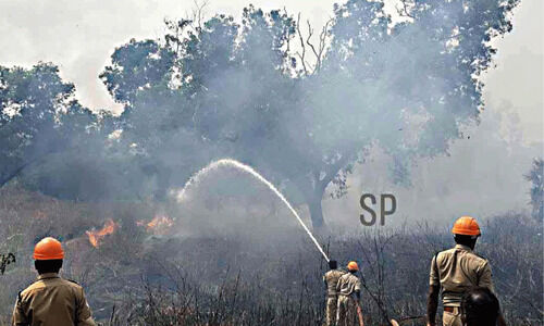 കു​മ്പി​ടി​യി​ൽ പെ​ട്രോ​ൾ പ​മ്പി​ന് സ​മീ​പം തീ​പി​ടി​ത്തം