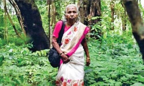 അ​സ്ത​മി​ച്ചു, കാ​ടി​ന്റെ അ​ക്ഷ​ര വെ​ളി​ച്ചം