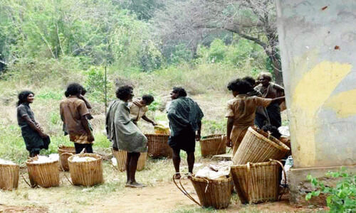 കാ​ട്ടാ​ന പേ​ടി; ഉ​ൾ​ക്കാ​ടി​റ​ങ്ങു​ന്ന ആ​ദി​വാ​സി​ക​ൾക്ക് രാവുറങ്ങാൻ വ​നം വ​കു​പ്പ് ഇ​ടം