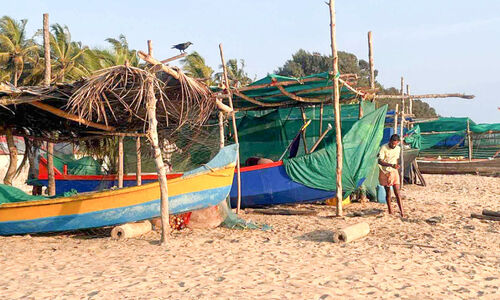 മത്സ്യ ലഭ്യതയിൽ വൻകുറവ്: മീനില്ലാതെ കടൽ; വറുതിയിൽ നാട്ടിക കടപ്പുറം മത്സ്യ ലഭ്യതയിൽ വൻകുറവ്: മീനില്ലാതെ കടൽ; വറുതിയിൽ നാട്ടിക കടപ്പുറം