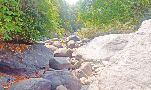 കുടിവെള്ളത്തിന് നെട്ടോട്ടം കുടിവെള്ളത്തിന് നെട്ടോട്ടം