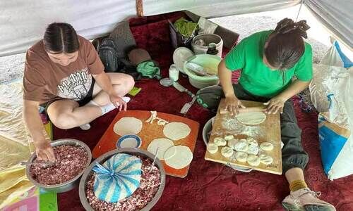 ദേഷ്യക്കാരന് കുട്ടിക്കുതിര ദേഷ്യക്കാരന് കുട്ടിക്കുതിര