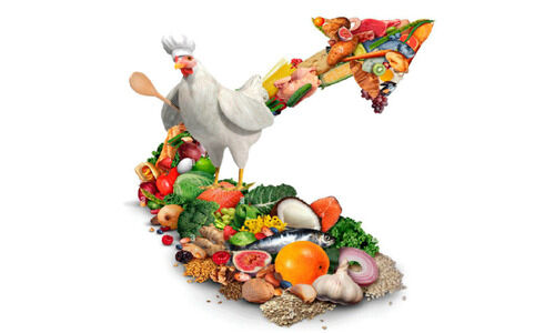 പെരുന്നാൾ വിപണിയിൽ പൊള്ളും വില പെരുന്നാൾ വിപണിയിൽ പൊള്ളും വില