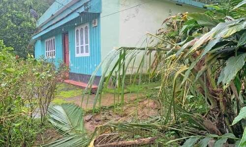 എന്നും രാത്രി വീട്ടുമുറ്റത്ത് കാട്ടാനകൾ; ഉറക്കമില്ലാതെ പൂളക്കുന്ന് നിവാസികൾ എന്നും രാത്രി വീട്ടുമുറ്റത്ത് കാട്ടാനകൾ; ഉറക്കമില്ലാതെ പൂളക്കുന്ന് നിവാസികൾ