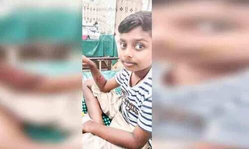 വിദ്യാർഥി ഉൾപ്പെടെ മൂന്നുപേരെ ​ആക്രമിച്ചു;  ഓടി നടന്ന്​ കടിച്ച്​ തെരുവ്​നായ്