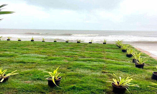 തി​ര​വി​ഴു​ങ്ങു​ന്ന ജീ​വ​നും ജീ​വി​ത​വും