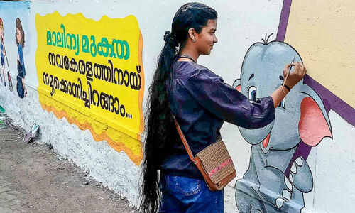 സഞ്ചാരികൾക്ക് കൗതുകം പകർന്ന് ഒരു19കാരിയുടെ ചുമർചിത്രങ്ങൾ