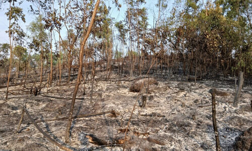 നാരംപാടിയിൽ വൻ തീപിടിത്തം; ഒഴിവായത് വൻ ദുരന്തം നാരംപാടിയിൽ വൻ തീപിടിത്തം; ഒഴിവായത് വൻ ദുരന്തം