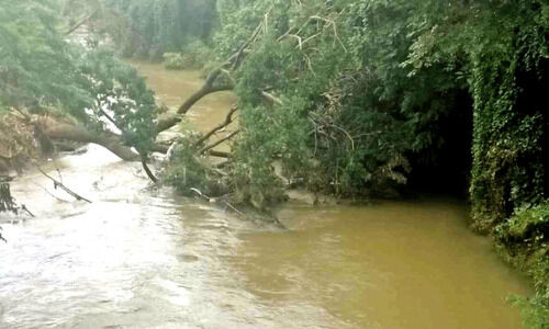 മ​ഴ​ക്കാ​ല​ത്തെ ശാ​ന്തി​ന​ഗ​ർ നി​വാ​സി​ക​ളു​ടെ പ​ലാ​യ​നം എ​ന്ന​വ​സാ​നി​ക്കും ?