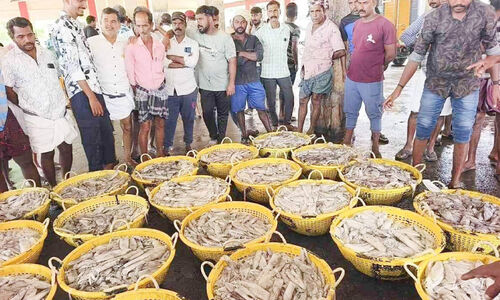 കടലിൽ അനധികൃത മത്സ്യബന്ധനം; പുറംതിരിഞ്ഞ് ഫിഷറീസ് വകുപ്പ്