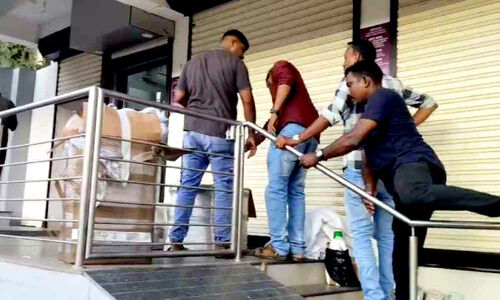 എം.ഡി.എം.എ വേട്ട; പിടിയിലായത് മയക്കുമരുന്ന് വിപണനരംഗത്തെ വമ്പൻ സ്രാവ് എം.ഡി.എം.എ വേട്ട; പിടിയിലായത് മയക്കുമരുന്ന് വിപണനരംഗത്തെ വമ്പൻ സ്രാവ്