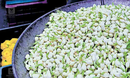 പിച്ചിയും മുല്ലയും വിറ്റതിനെച്ചൊല്ലി തർക്കം, പൂവെട്ടുന്ന കത്രിക കൊണ്ട് നെഞ്ചിൽ കുത്തി; കട്ടപ്പ ഒളിവിൽ