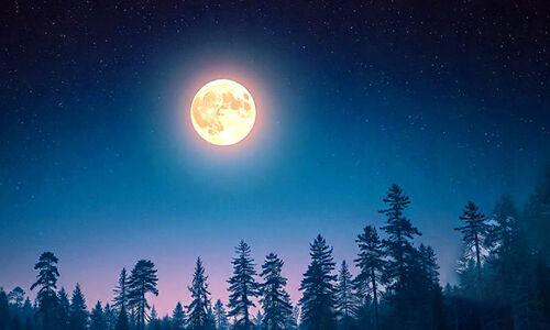 പാ​ട്ടി​ലു​ണ​രും യാ​മി​നി​ക​ൾ