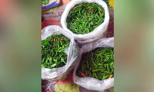 കാന്താരി മുളക് വേണോ? വില 450 രൂപ കാന്താരി മുളക് വേണോ? വില 450 രൂപ