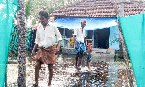 വെള്ളക്കെട്ട്​; ചേരുങ്കൽ പകർച്ചവ്യാധി ഭീഷണിയിൽ