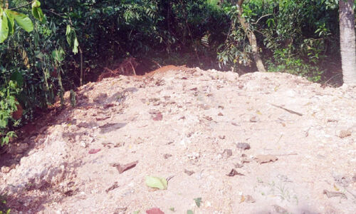 നടപടിക്ക് മടിച്ച് അധികൃതർ; ചേളന്നൂരിൽ തണ്ണീർത്തടങ്ങൾ മണ്ണിട്ട് നികത്തുന്നു