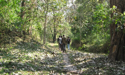 ശബരിമല വനമേഖലയിൽ ആയുധധാരികളായ അജ്ഞാതരുടെ സാന്നിധ്യം; അതിർത്തിയി​െ​ല വീടുകളിലെത്തി നിത്യോപയോഗ വസ്തുക്കൾ മോഷ്ടിക്കുന്നു